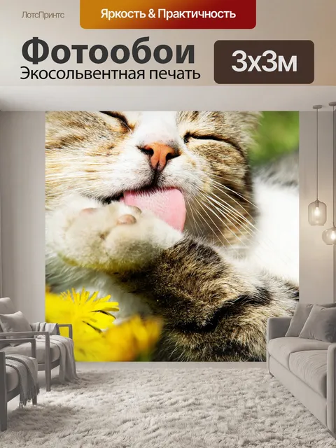 Фотообои Кошка