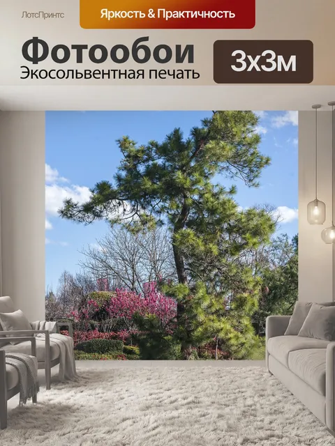 Фотообои Дзен