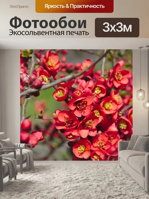 Фотообои Весна