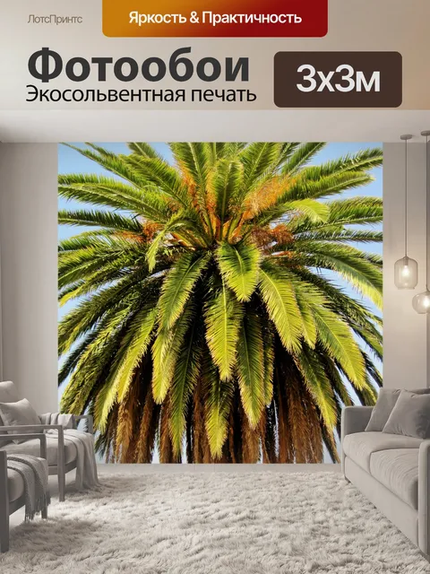Фотообои декоративные финиковая пальма