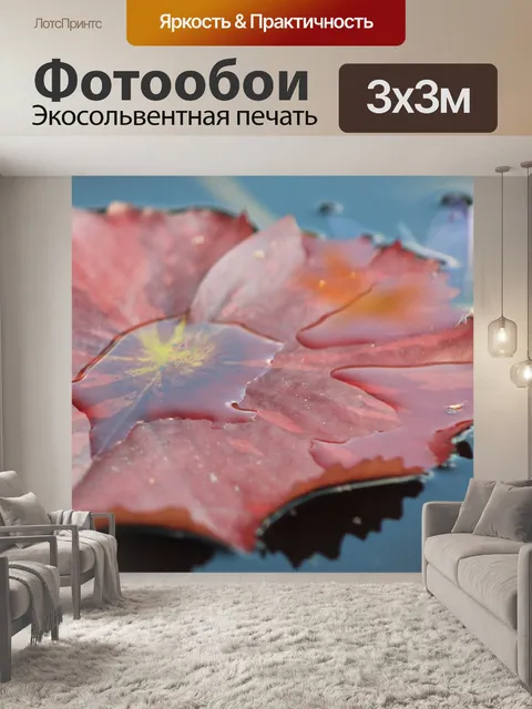 Фотообои Водяная лилия
