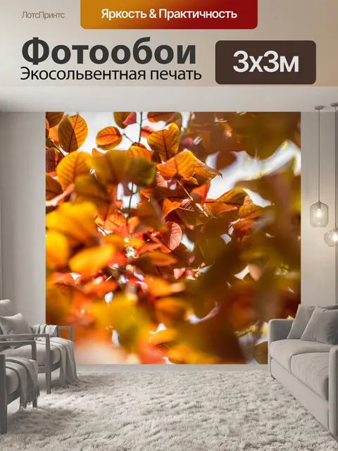 Фотообои Дерево