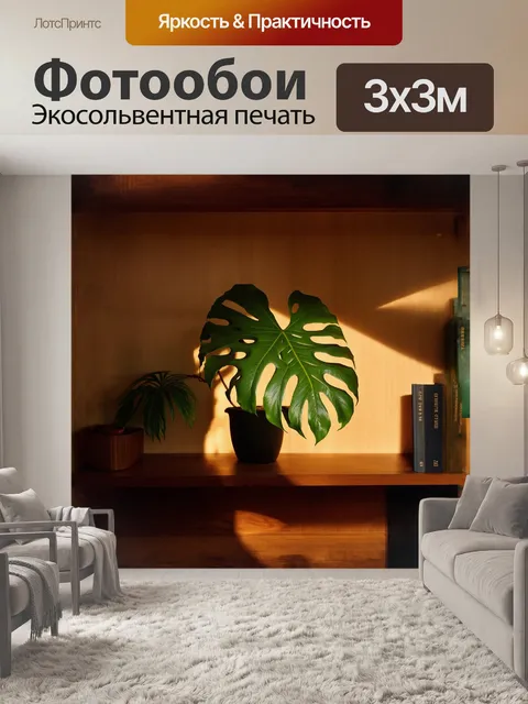 Фотообои монстера на деревянной полке