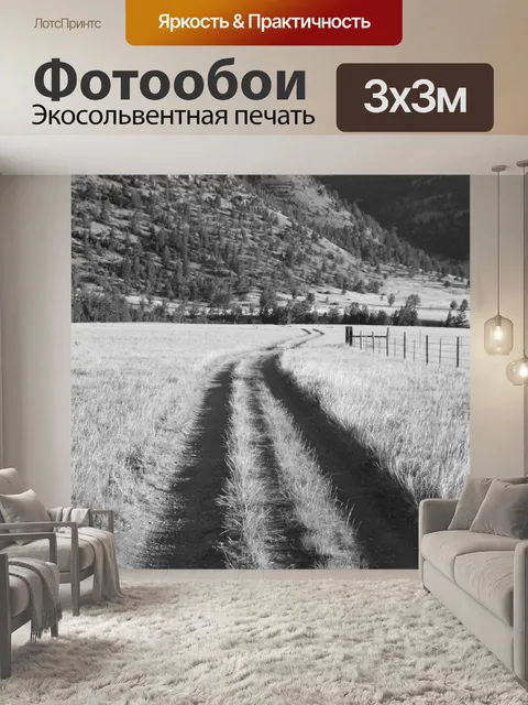 Фотообои Два треков через Ранчо земли