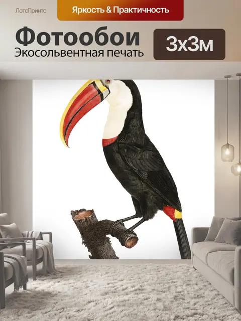 Фотообои Птица тукан прозрачный винтаж