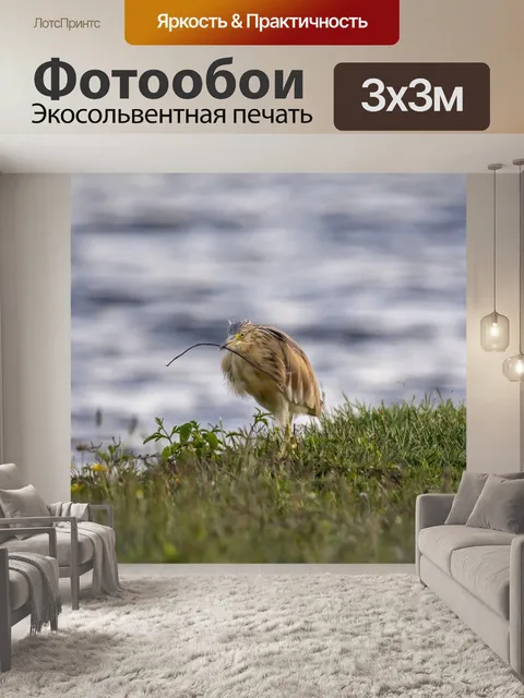 Фотообои Птица