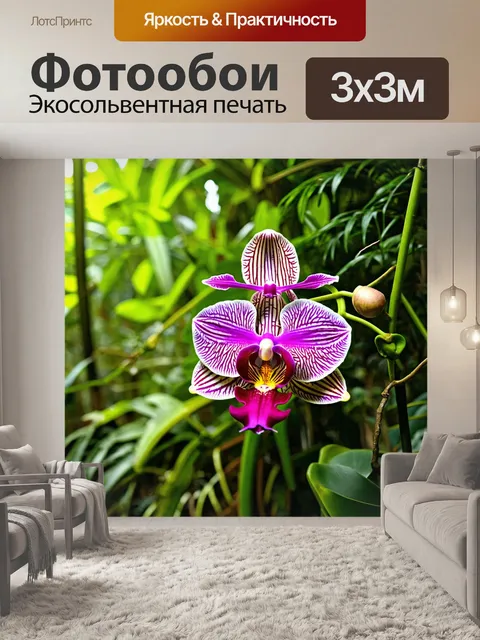 Фотообои с орхидеями в тропическом rainforest, яркие зеленые лианы и теплый солнечный свет пробивается через листву