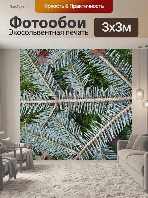 Фотообои Еловая ветка