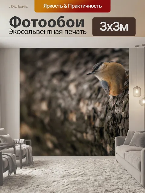 Фотообои Поползень