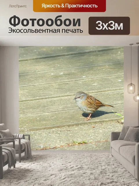 Фотообои Даннок