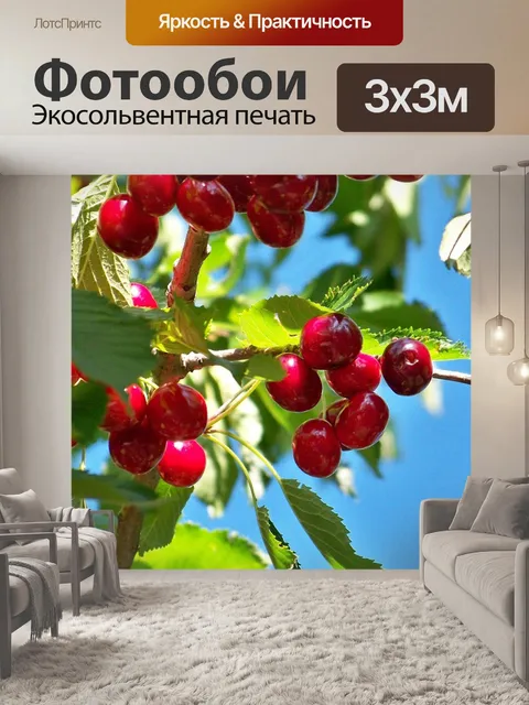Фотообои Вишня