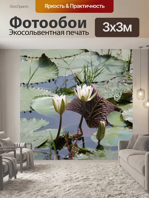Фотообои Водяные лилии
