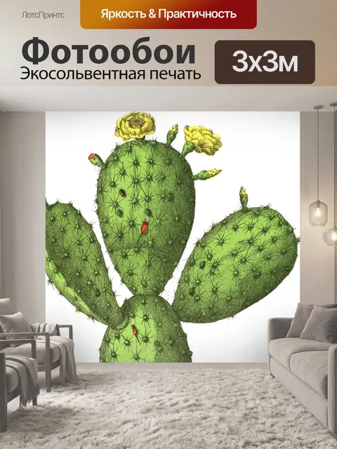 Фотообои Кактус кактусы винтажное искусство