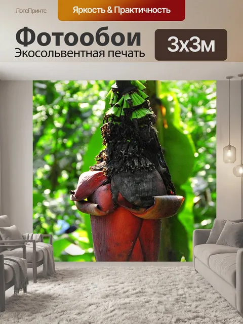 Фотообои Банановый цветок