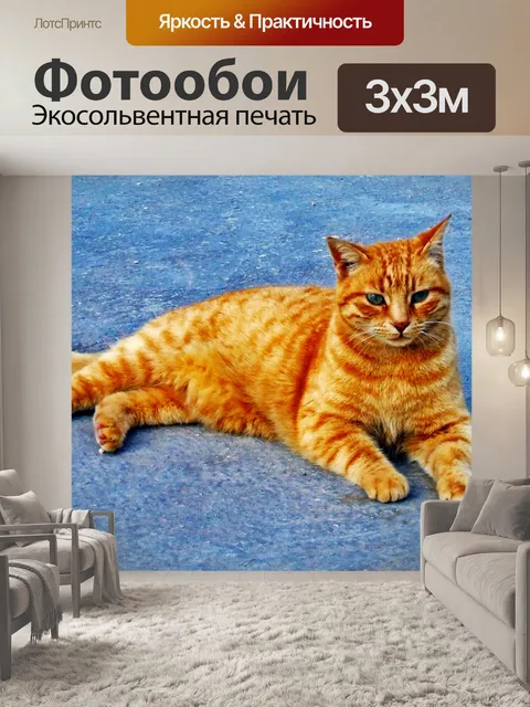 Фотообои Рыжий кот