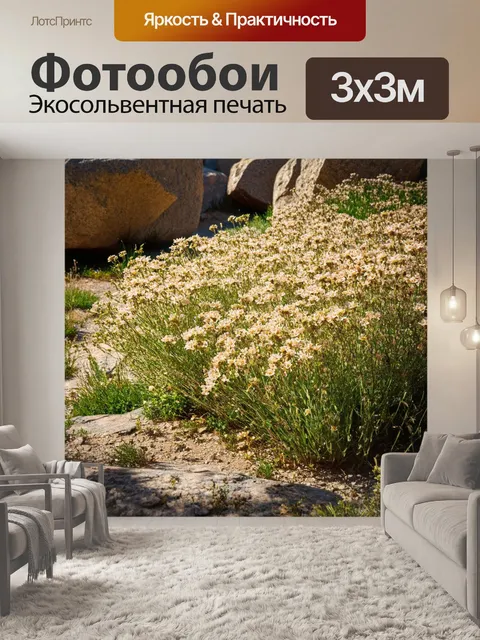 Фотообои поляна с бежевыми цветами, обрамленная большими камнями, где жесткие линии контрастируют с нежностью растений
