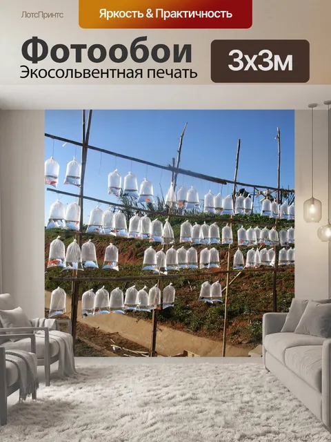 Фотообои Рыба