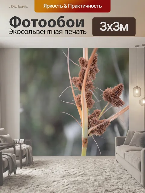 Фотообои Ссохшийся