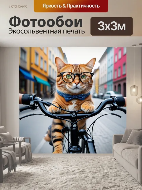 Фотообои кот в очках на велосипеде