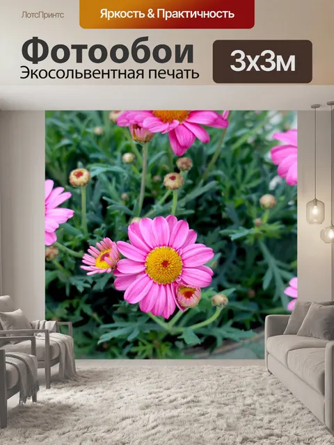 Фотообои Ромашки