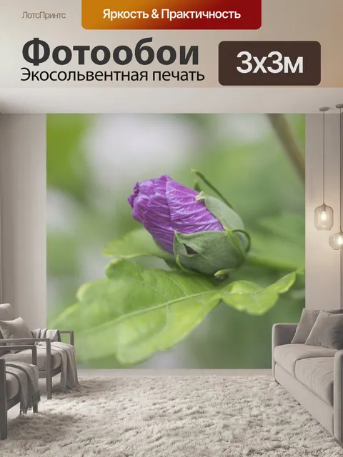 Фотообои Цветок