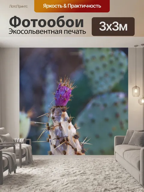Фотообои почтенный нопальский кактус