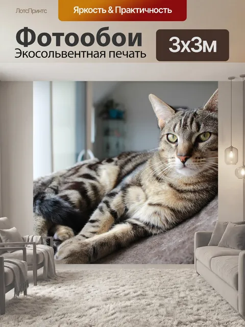 Фотообои Кошка