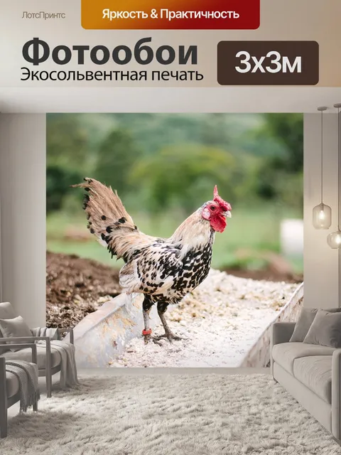 Фотообои Ферма