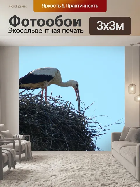 Фотообои Аист