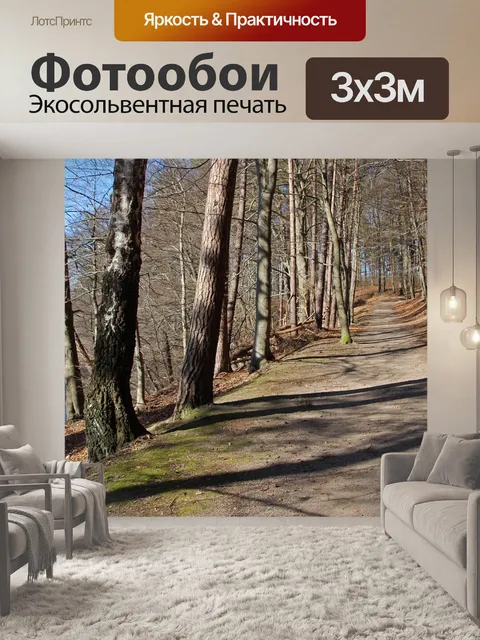 Фотообои Лесная тропа