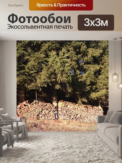Фотообои Опушка леса