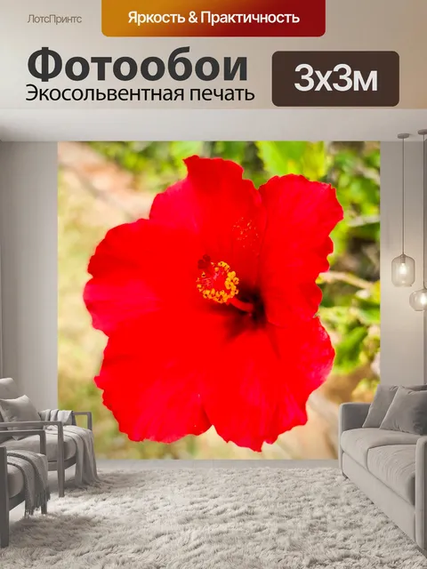 Фотообои Красный цветок гибискуса