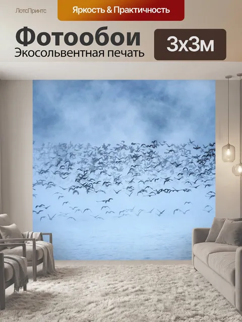 Фотообои Перелетные птицы