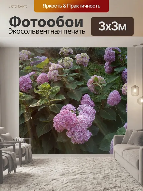 Фотообои Гортензия