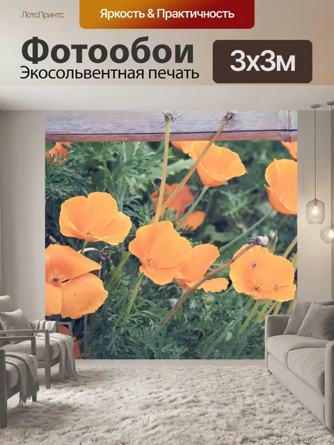 Фотообои Маковое поле