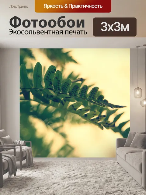 Фотообои Свежие зеленые листья папоротника