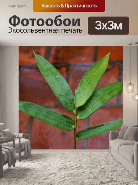 Фотообои Листья бамбука