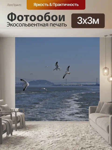 Фотообои Чайки над заливом