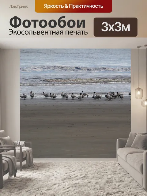 Фотообои чайки на берегу океана