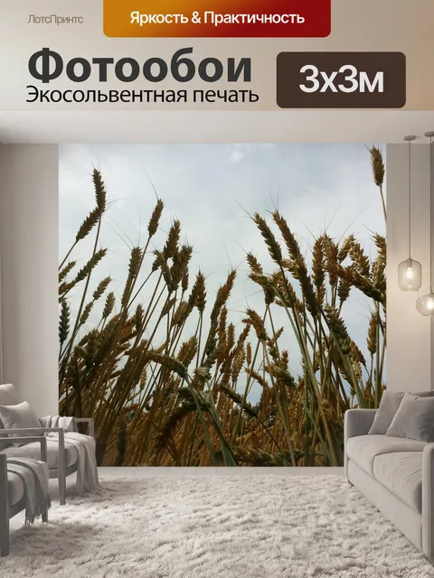 Фотообои Пшеничные поля