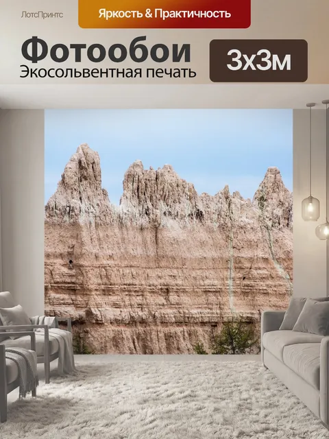 Фотообои бесплодный