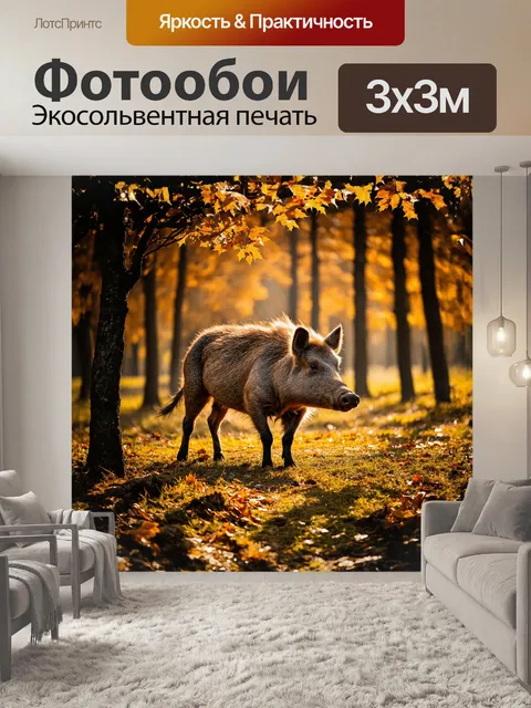 Фотообои дикий кабан стоит на краю леса, его мощное тело прекрасно выделяется на фоне ярких осенних листьев