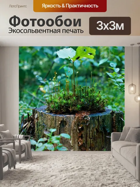 Фотообои Мосс