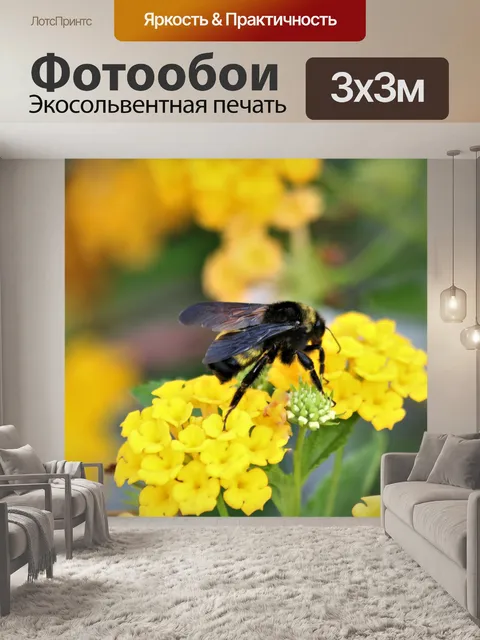 Фотообои Шмель на желтом цветке