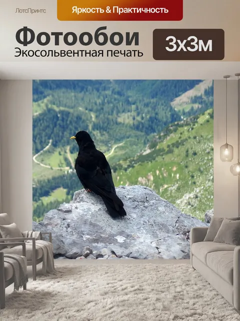 Фотообои Птица