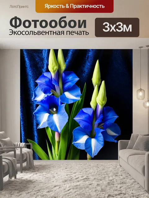 Фотообои цветы в стиле гиперреализм, синие гладиолусы на фоне тёмно-синего бархата, контраст и элегантность