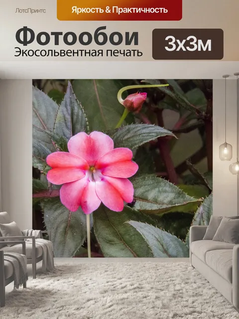 Фотообои Розовый цветок