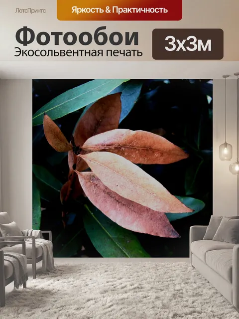 Фотообои коричневые листья на дереве лавровый лис