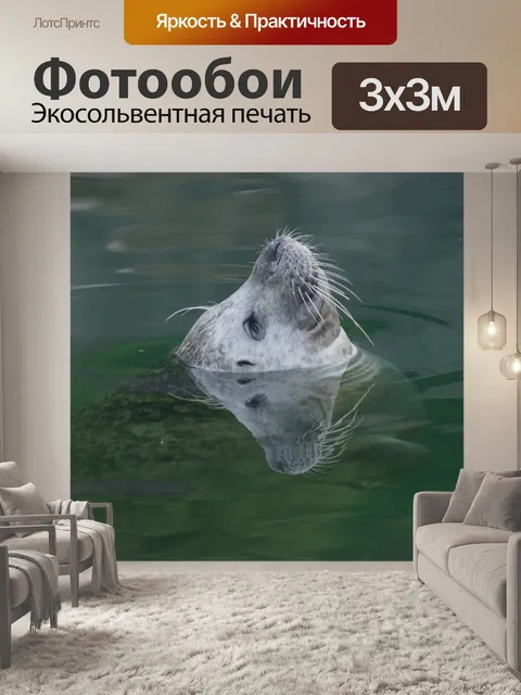 Фотообои Тюлень