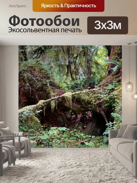 Фотообои Тропический лес